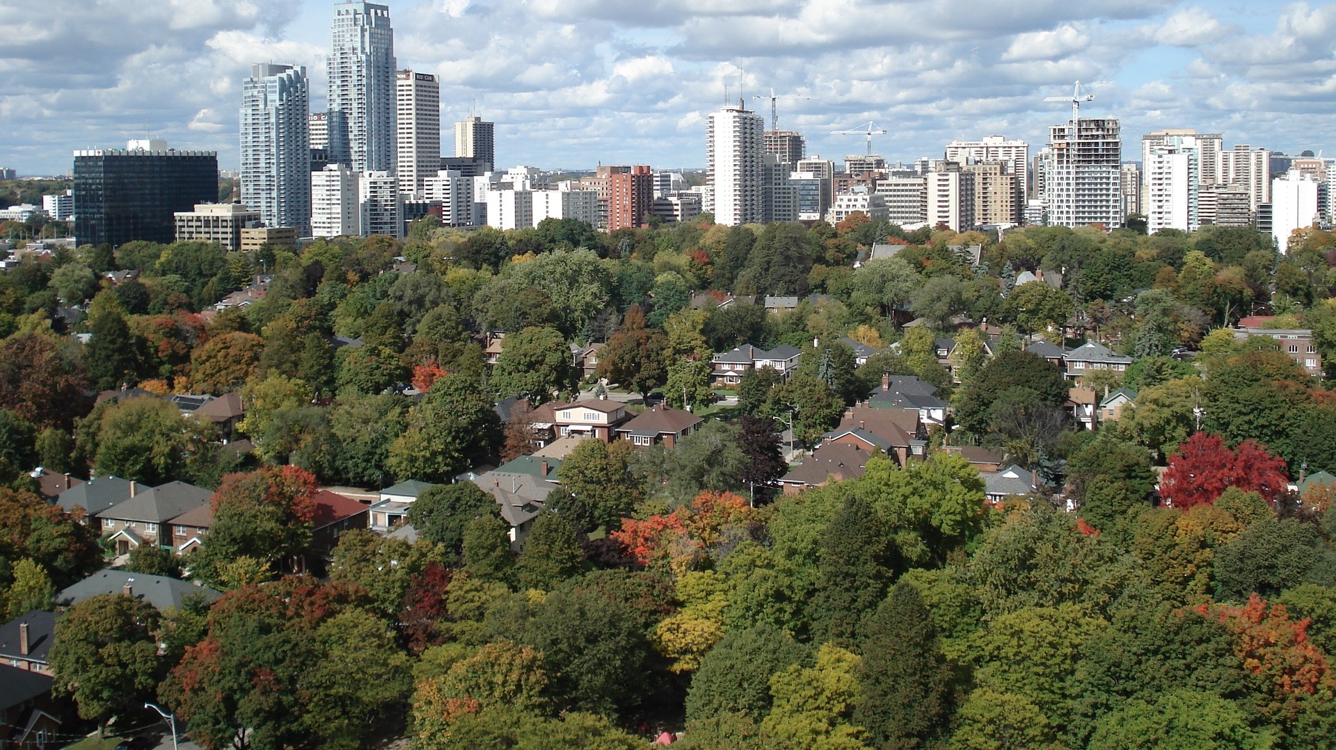 Davisville Village